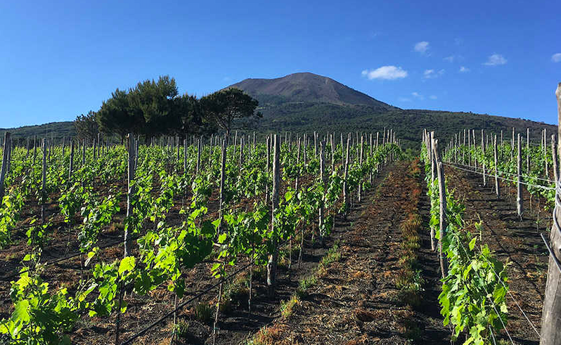Vesuvio Rosso DOC